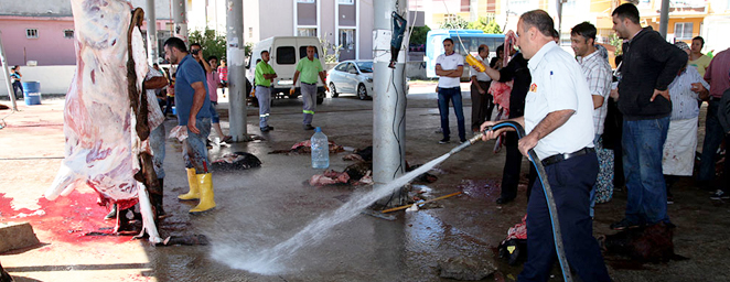 büyükşehir çalışma6